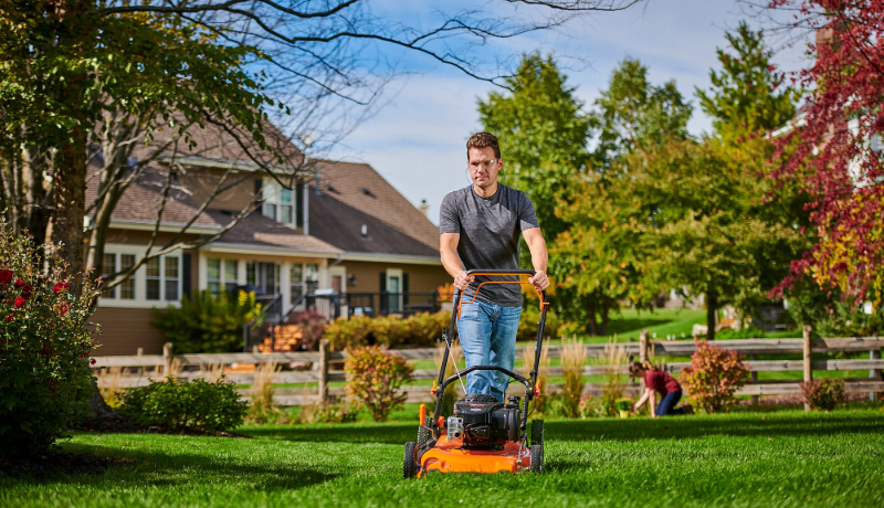 Briggs & Stratton Buying Guides