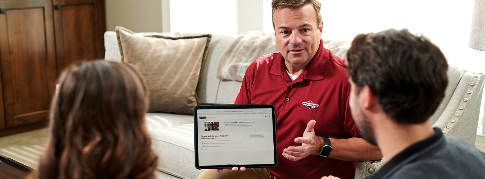 Buying a Briggs & Stratton Home Generator