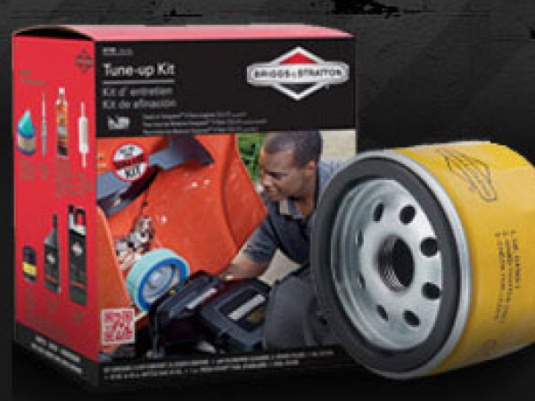 Briggs & Stratton Riding Mower Parts