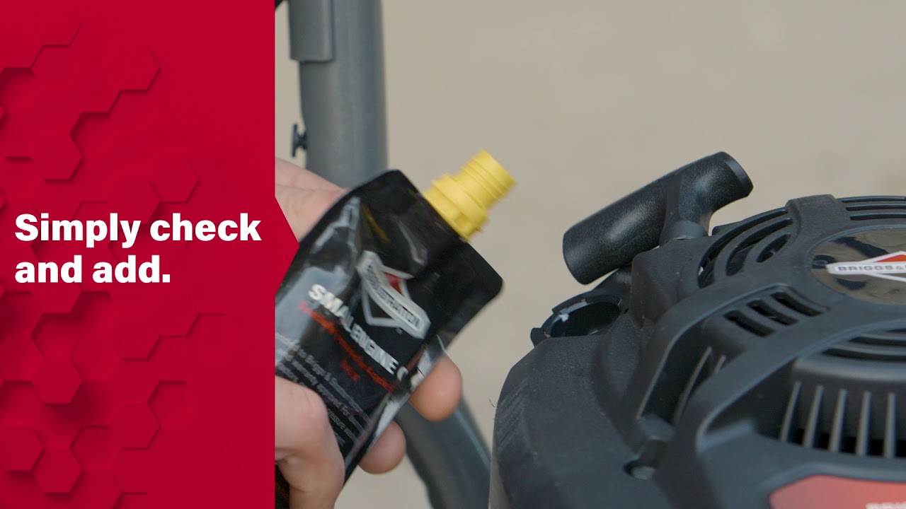 Briggs & Stratton EXi engine