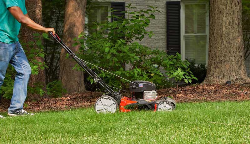 Briggs & Stratton Engines