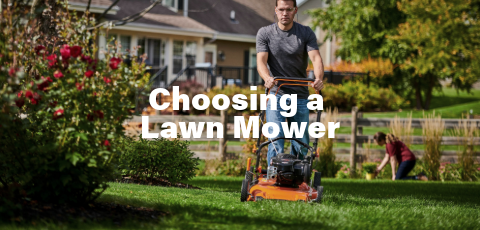 Choosing a Lawn Mower