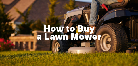How to Buy a Lawn Mower