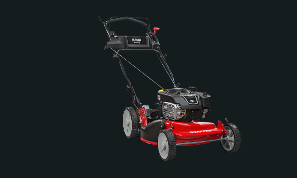 Push mower with a Briggs & Stratton engine